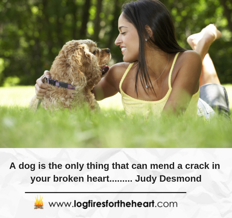 Inspirational Quotes For Dog Lovers
