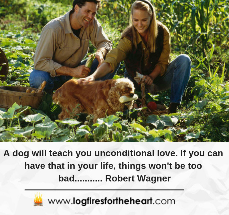 A dog will teach you unconditional love. If you can have that in your life, things won't be too bad........... Robert Wagner