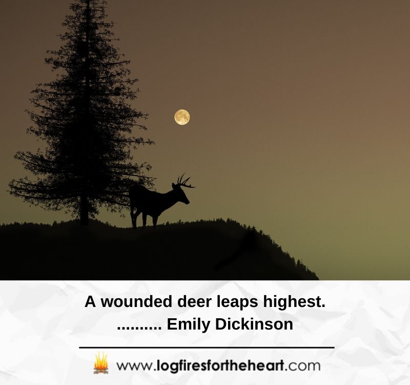 Inspirational quotes for broken hearts  - A wounded deer leaps highest........... Emily Dickinson