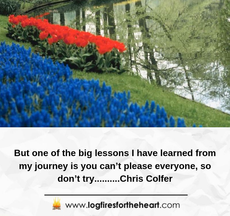 If failure should visit you, never quit. The greatest lessons can be learned through failure. Why is this? It is because failure shows you what went wrong and what went right. Within each failure are the seeds of success........ Catherine Pulsifer