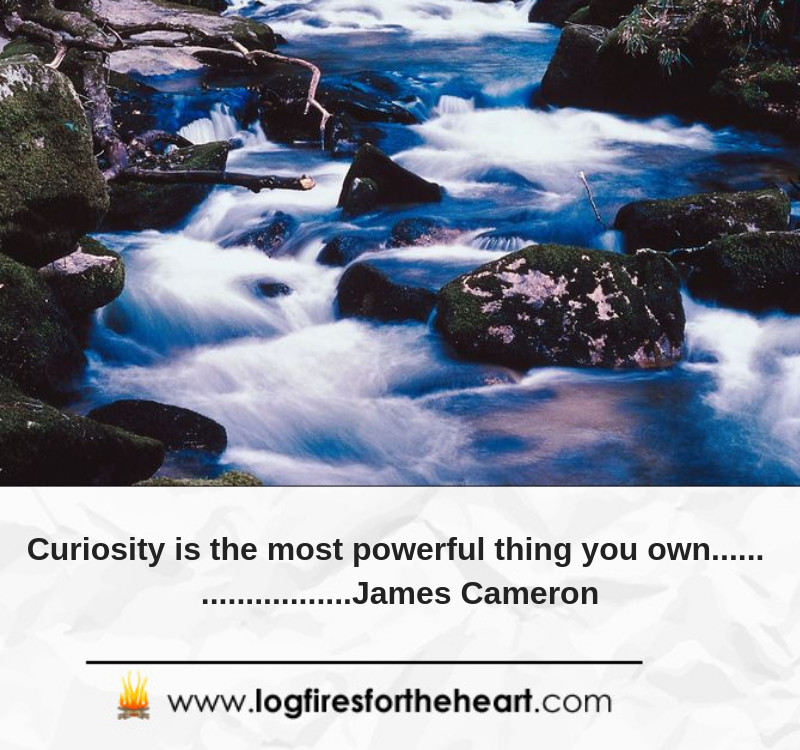 Curiosity is the most powerful thing you own...... James Cameron