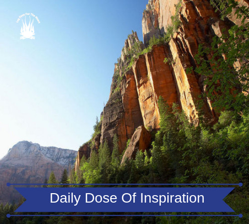 Daily Dose Of Inspiration