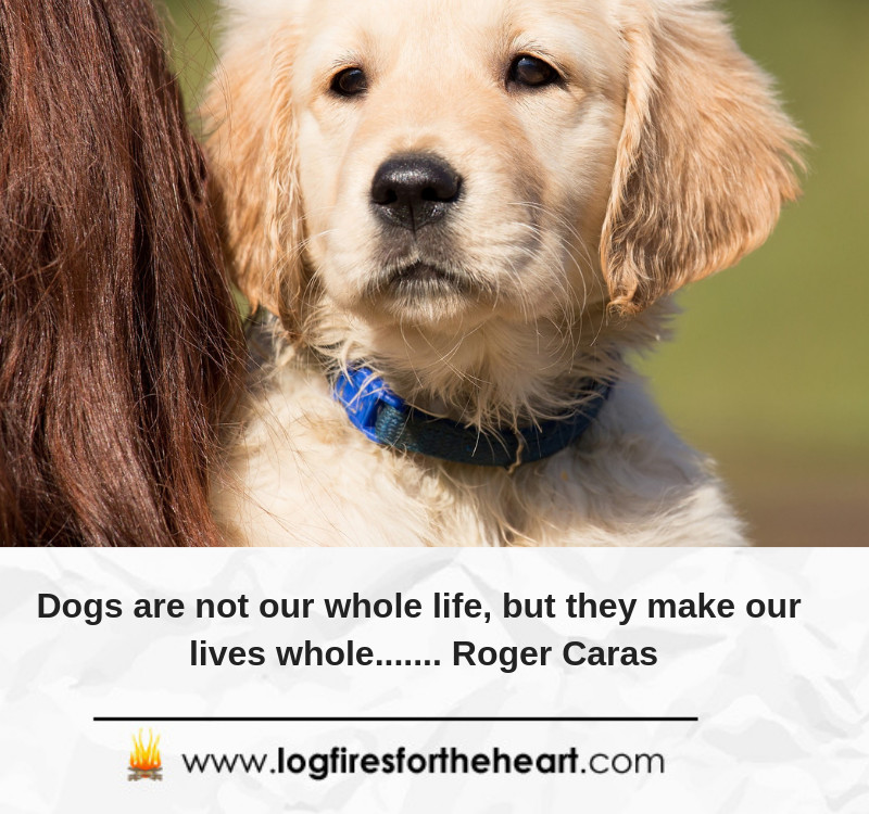 Inspirational Quotes For Dog Lovers