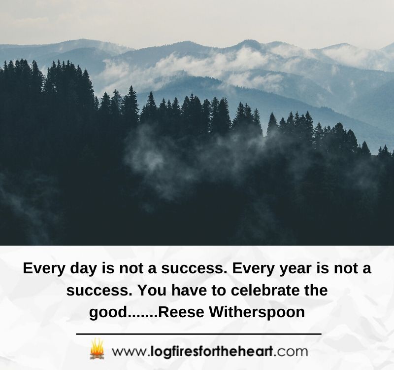 inspirational quotes about life -Every day is not a success. Every year is not a success. You have to celebrate the good.......Reese Witherspoon