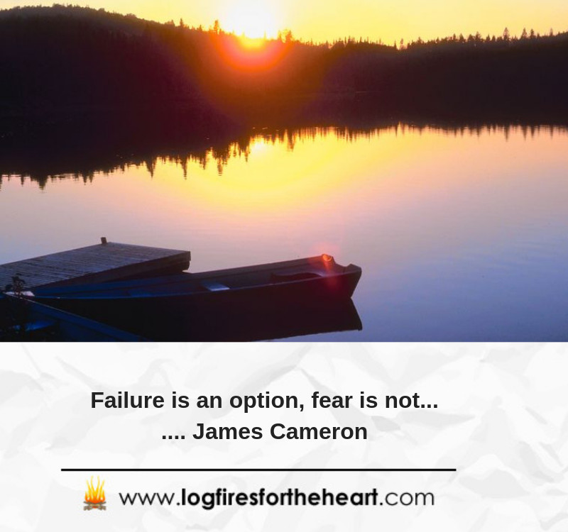 Failure is an option, fear is not....... James Cameron