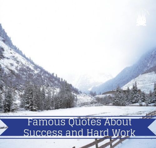 famous quotes about success and hard work
