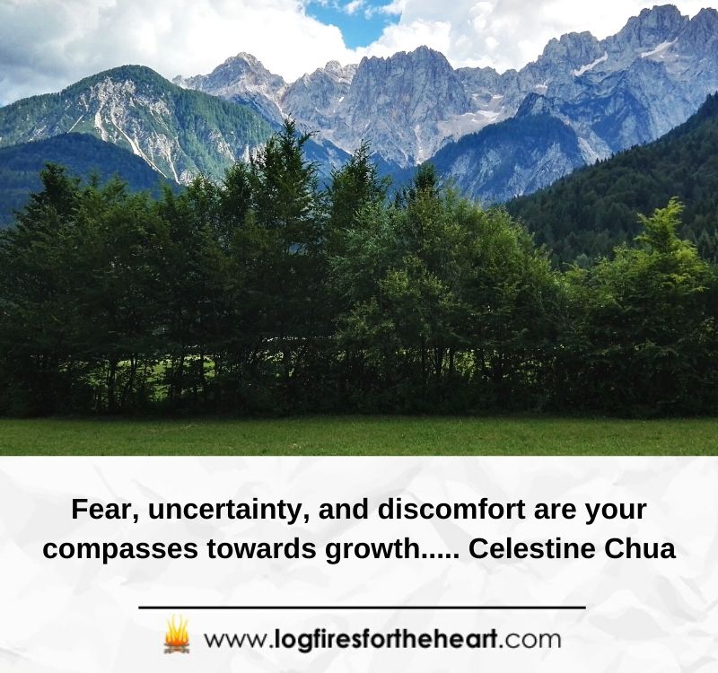 Fear, uncertainty, and discomfort are your compasses towards growth..... Celestine Chua