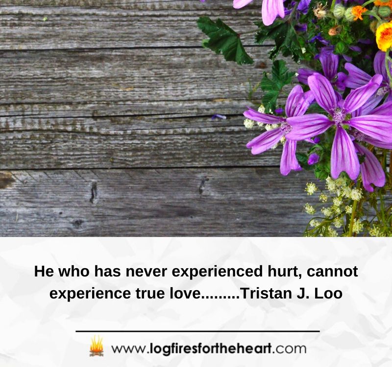 He who has never experienced hurt, cannot experience true love.........Tristan J. Loo