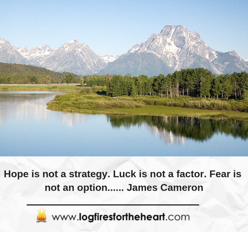  Hope is not a strategy. Luck is not a factor. Fear is not an option...... James Cameron