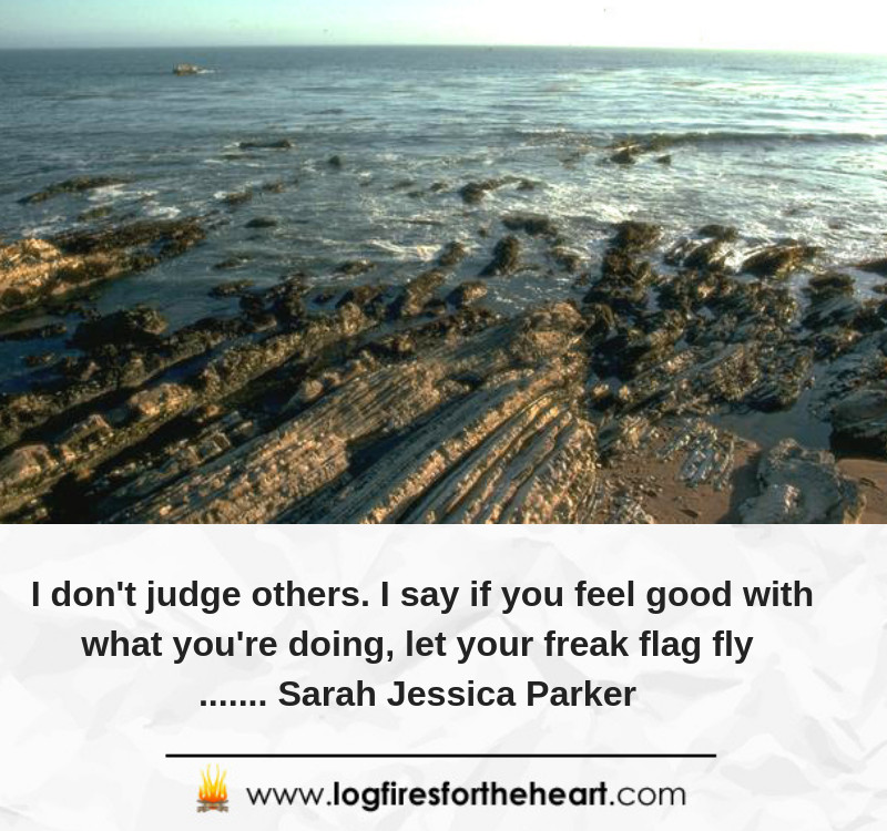 I don't judge others. I say if you feel good with what you're doing, let your freak flag fly....... Sarah Jessica Parker