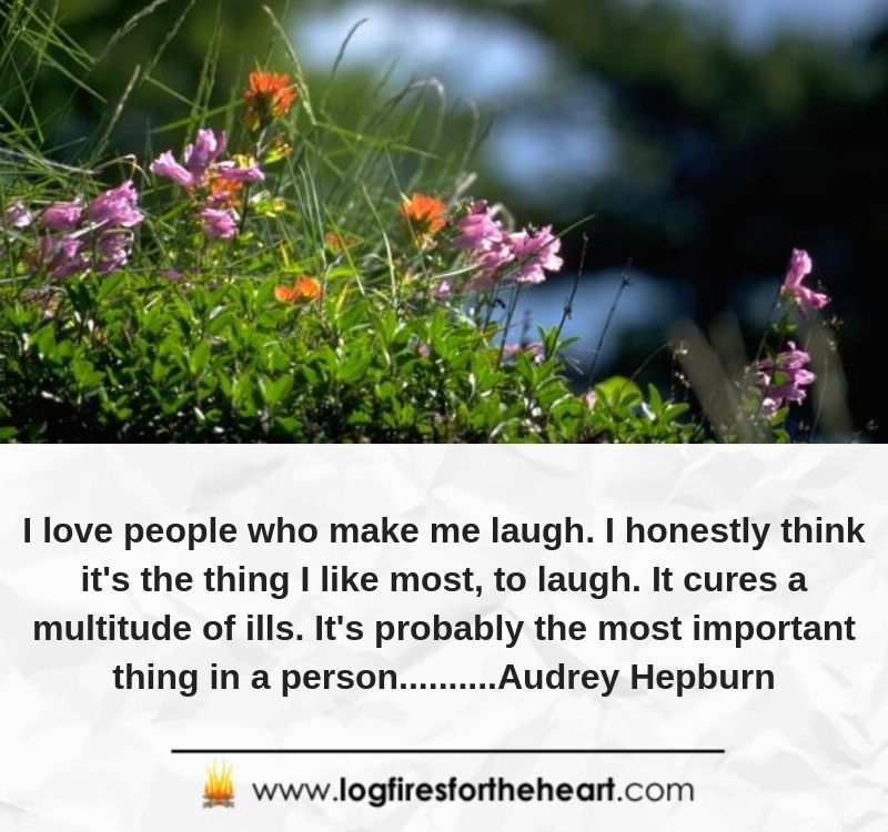 I love people who make me laugh. I honestly think it's the thing I like most, to laugh. It cures a multitude of ills. It's probably the most important thing in a person..........Audrey Hepburn