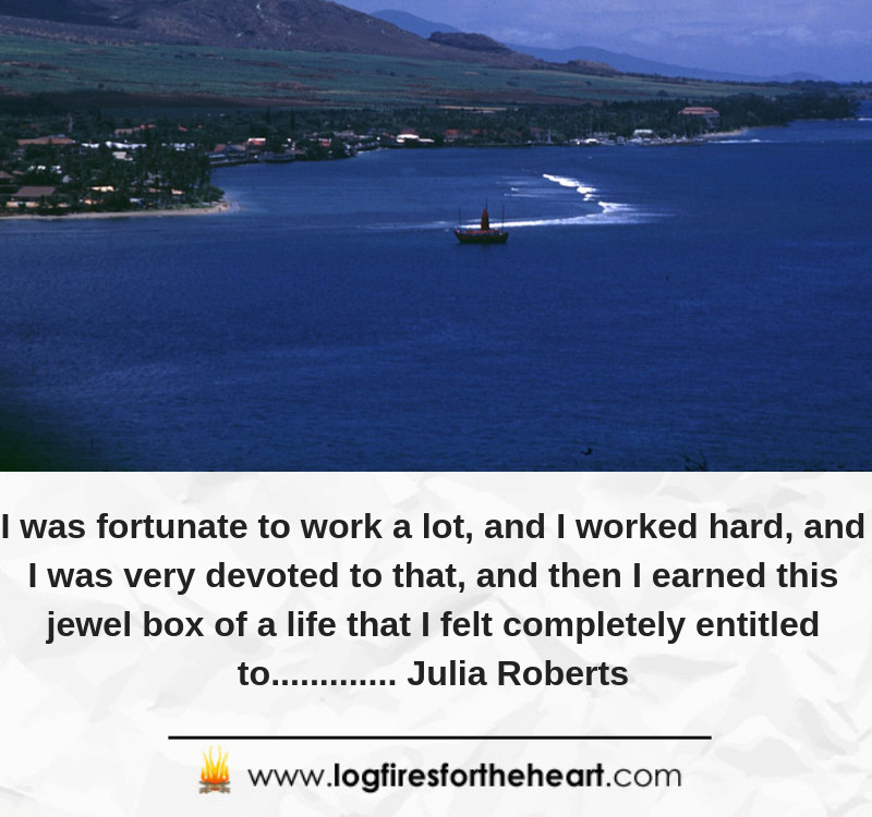I was fortunate to work a lot, and I worked hard, and I was very devoted to that, and then I earned this jewel box of a life that I felt completely entitled to............. Julia Roberts