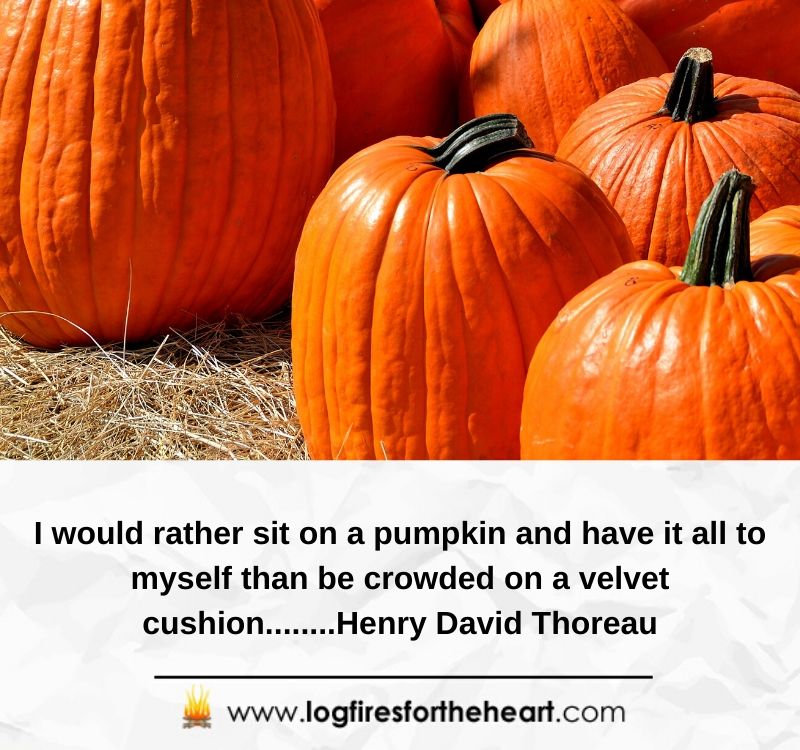  I would rather sit on a pumpkin and have it all to myself than be crowded on a velvet cushion........Henry David Thoreau