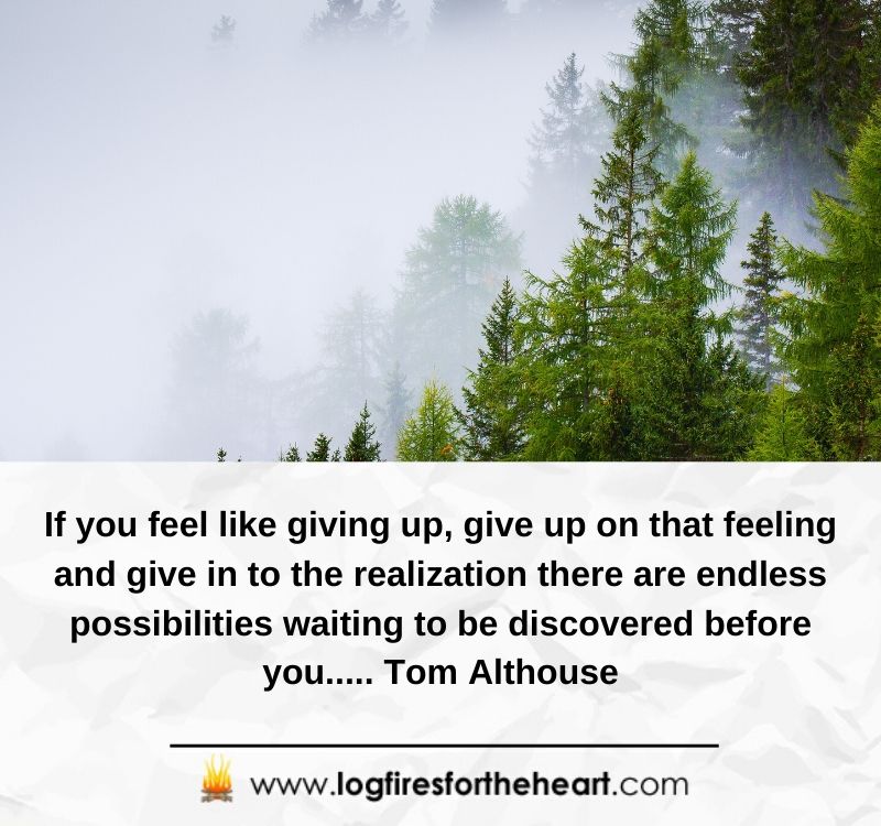 If you feel like giving up, give up on that feeling and give in to the realization there are endless possibilities waiting to be discovered before you..... Tom Althouse
