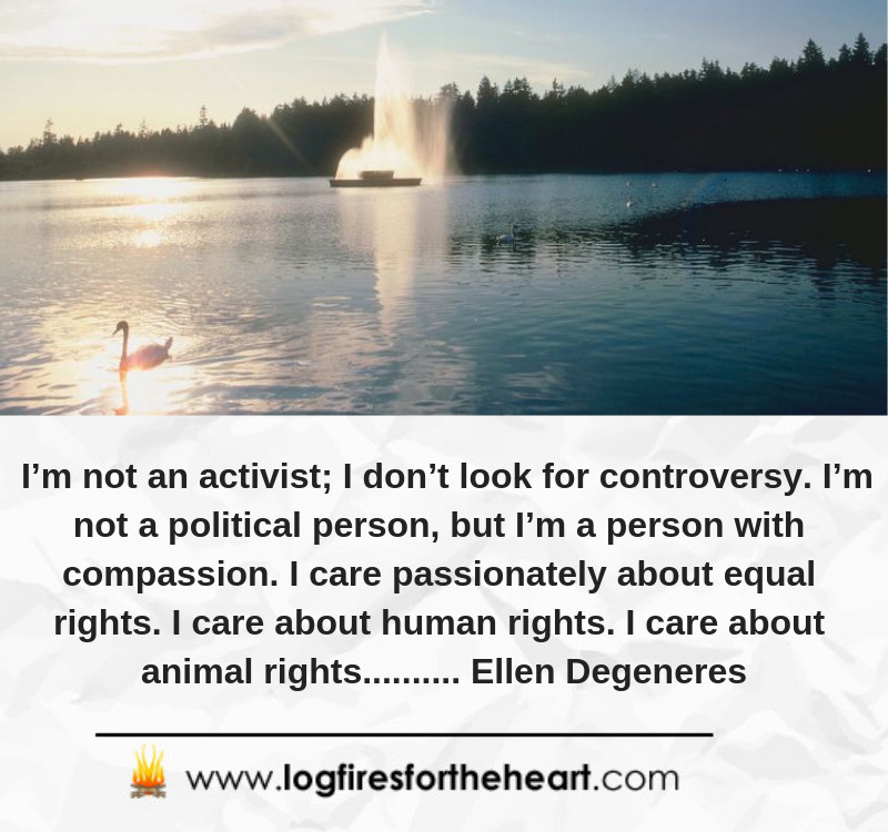 I’m not an activist; I don’t look for controversy. I’m not a political person, but I’m a person with compassion. I care passionately about equal rights. I care about human rights. I care about animal rights.......... Ellen Degeneres