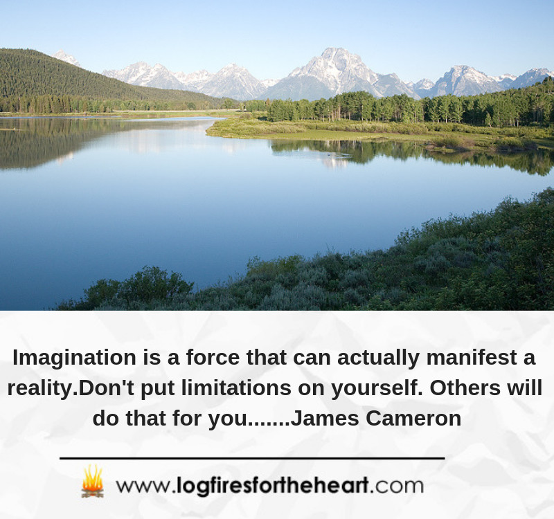 Imagination is a force that can actually manifest a reality.Don't put limitations on yourself. Others will do that for you.......James Cameron