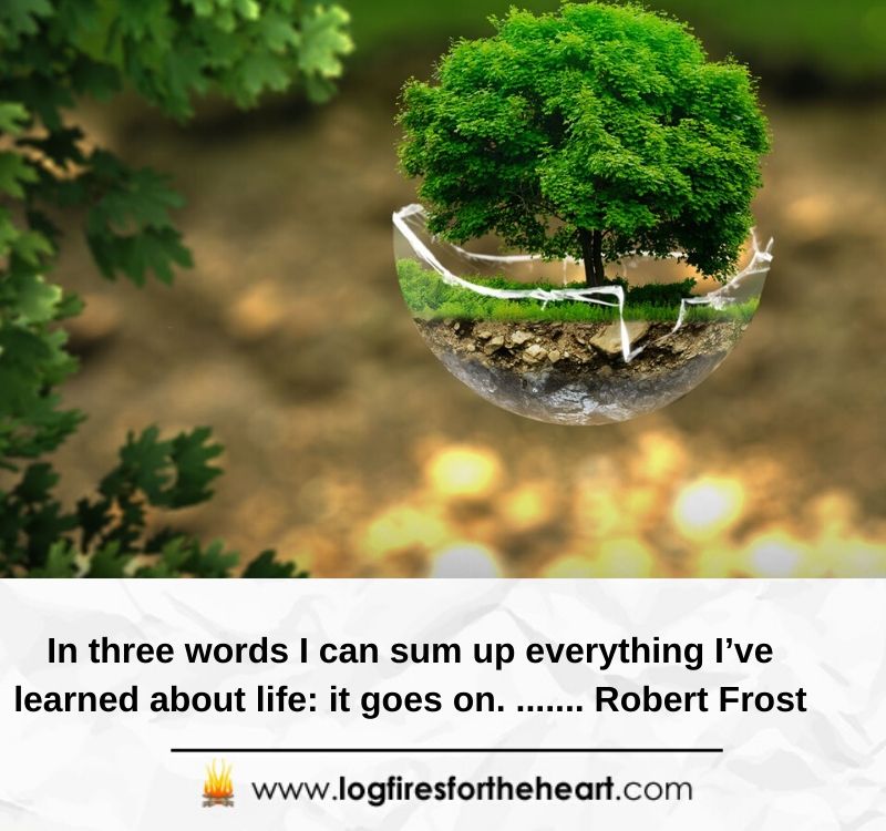 In three words I can sum up everything I’ve learned about life: it goes on........ Robert Frost