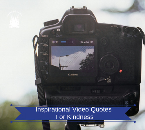 Inspirational Video Quotes For Kindness