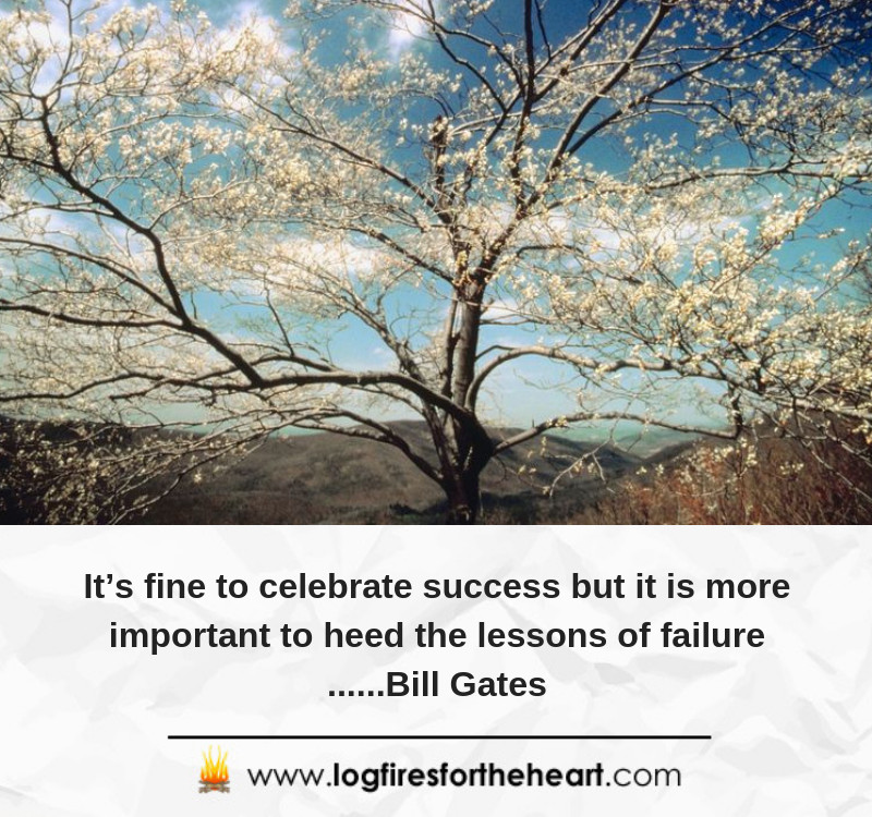 It’s fine to celebrate success but it is more important to heed the lessons of failure......Bill Gates