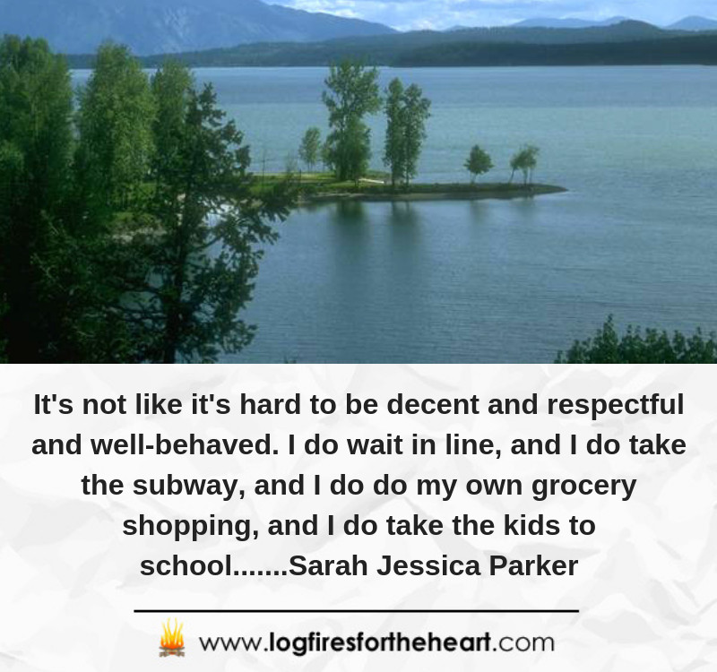 It's not like it's hard to be decent and respectful and well-behaved. I do wait in line, and I do take the subway, and I do do my own grocery shopping, and I do take the kids to school.......Sarah Jessica Parker