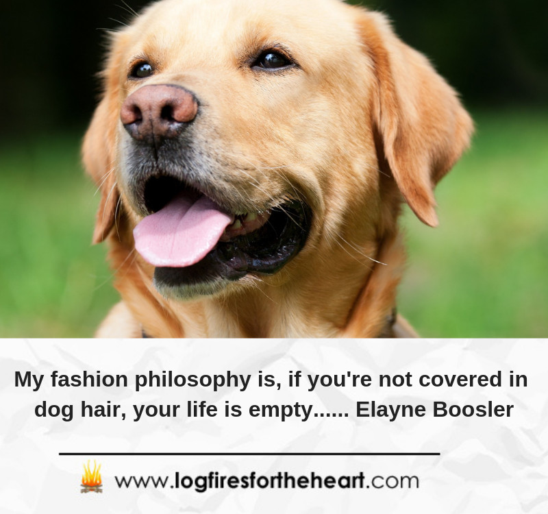 Inspirational Quotes For Dog Lovers