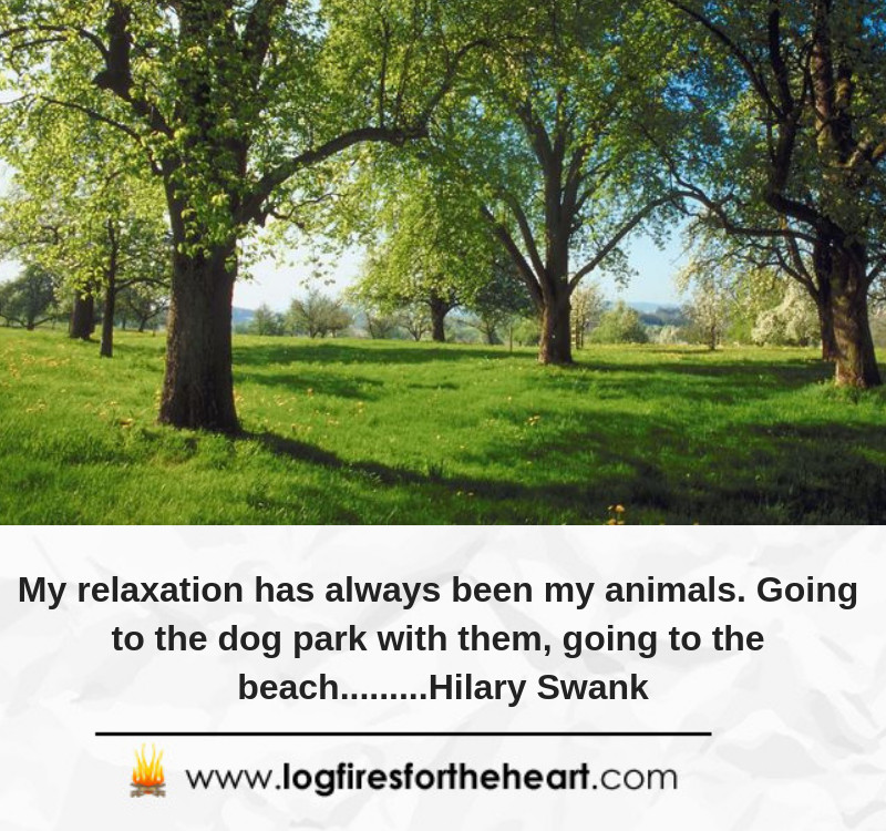 My relaxation has always been my animals. Going to the dog park with them, going to the beach.........Hilary Swank