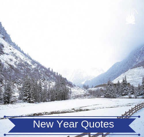 new year quotes reset