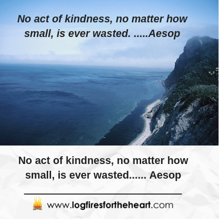 No act of kindness, no matter how small, is ever wasted. Aesop