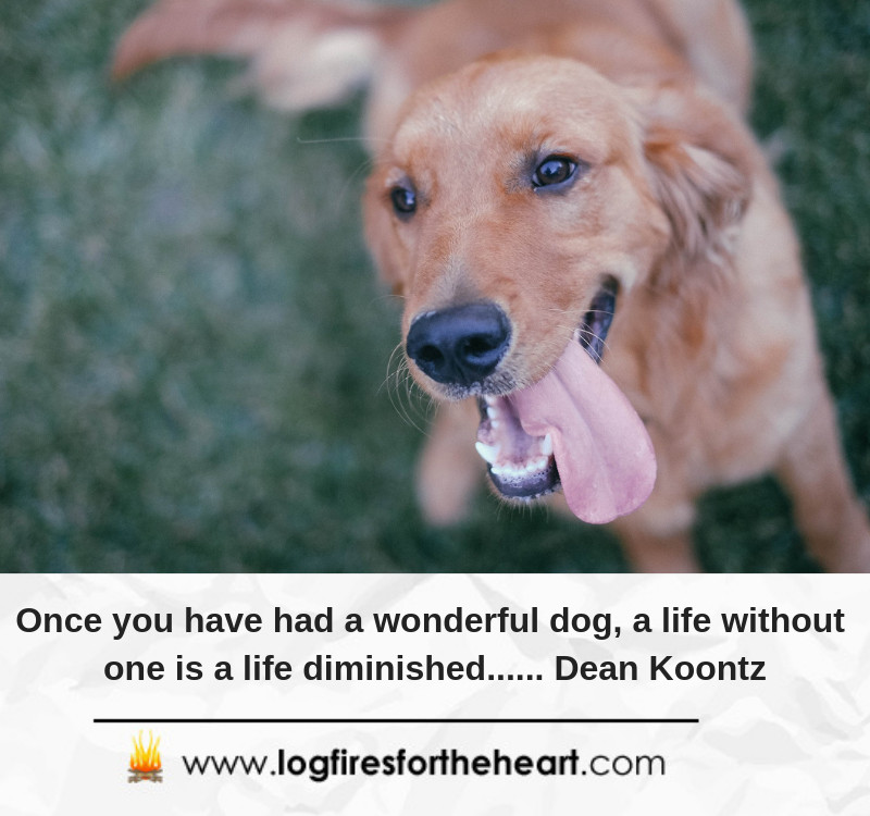 Top 7 Inspirational Video Quotes For Dog Lovers - Log Fires For The Heart