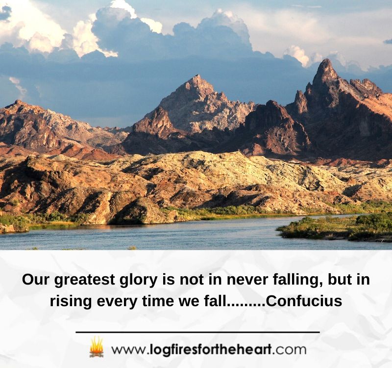 Our greatest glory is not in never falling, but in rising every time we fall.........Confucius