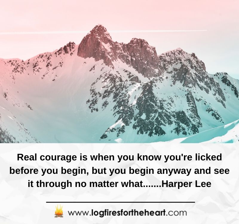 Real courage is when you know you're licked before you begin, but you begin anyway and see it through no matter what.......Harper Lee