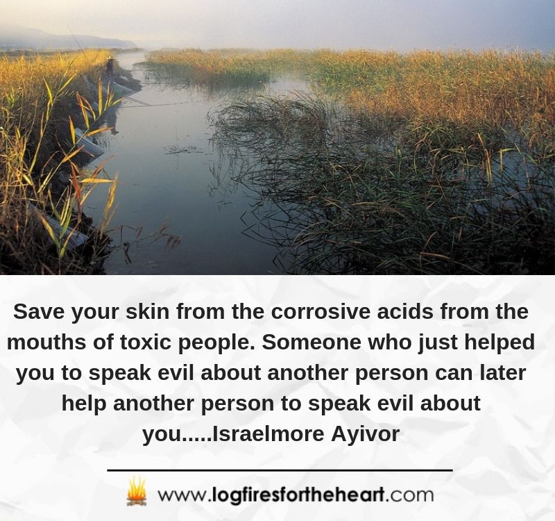 Save your skin from the corrosive acids from the mouths of toxic people. Someone who just helped you to speak evil about another person can later help another person to speak evil about you.....Israelmore Ayivor