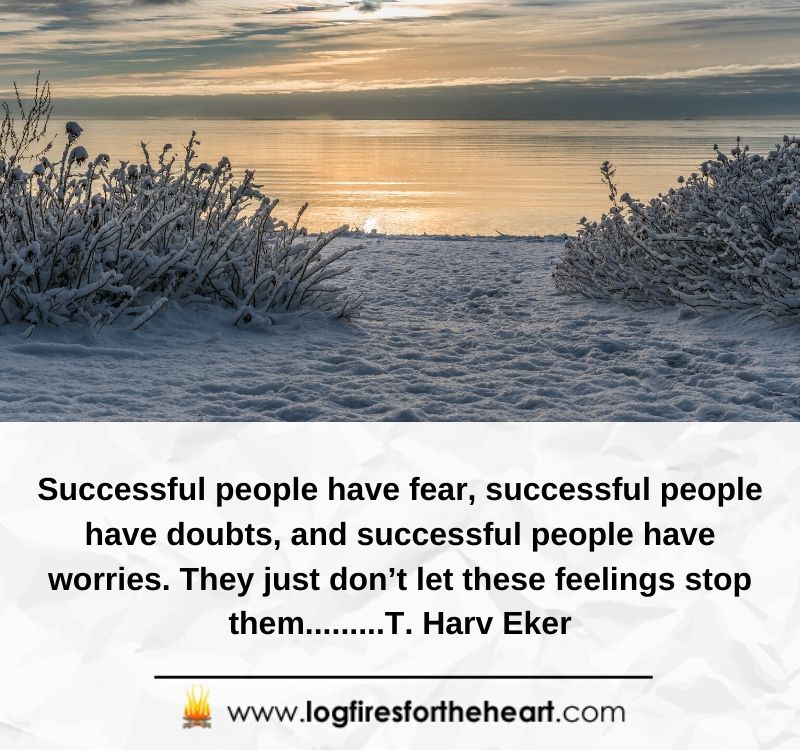 Successful people have fear, successful people have doubts, and successful people have worries. They just don’t let these feelings stop them.........T. Harv Eker