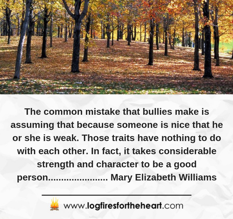 The common mistake that bullies make is assuming that because someone is nice that he or she is weak. Those traits have nothing to do with each other. In fact, it takes considerable strength and character to be a good person.......... Mary Elizabeth Williams