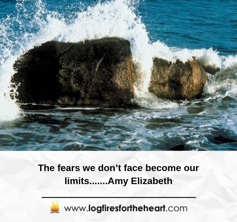 The fears we don’t face become our limits.......Amy Elizabeth