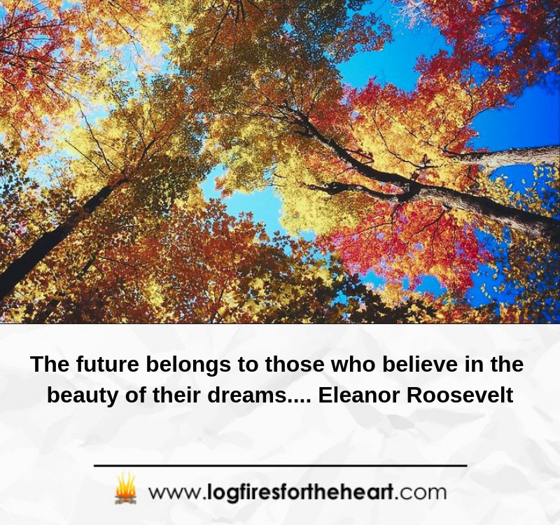 The future belongs to those who believe in the beauty of their dreams.......Eleanor Roosevelt