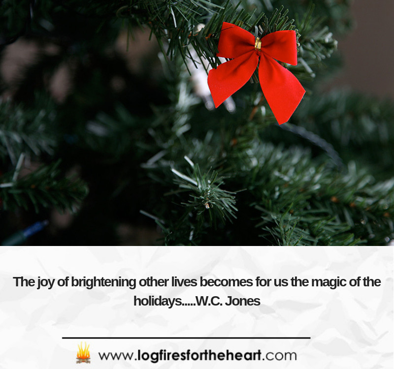 The joy of brightening other lives, bearing others' burdens, easing other's loads and supplanting empty hearts and lives with generous gifts becomes for us the magic of Christmas.........W. C. Jones