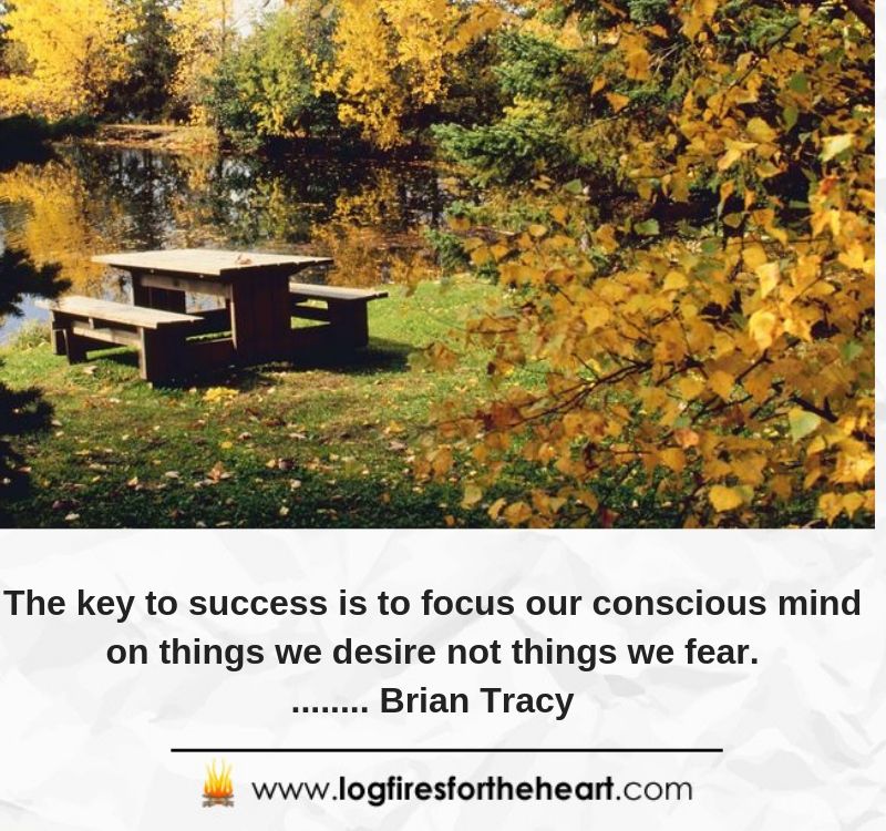 The key to success is to focus our conscious mind on things we desire not things we fear......... Brian Tracy