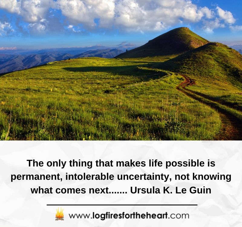 The only thing that makes life possible is permanent, intolerable uncertainty, not knowing what comes next....... Ursula K. Le Guin