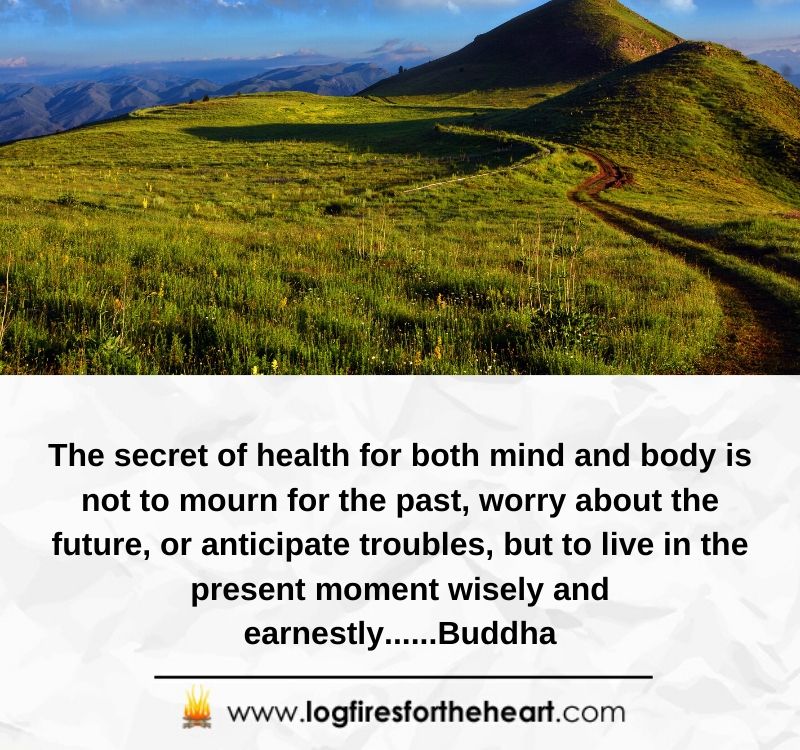 The secret of health for both mind and body is not to mourn for the past, worry about the future, or anticipate troubles, but to live in the present moment wisely and earnestly......Buddha