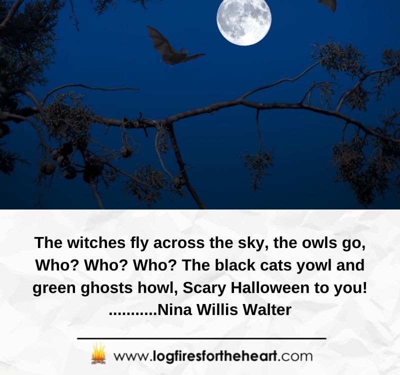 The witches fly across the sky, the owls go, Who? Who? Who? The black cats yowl and green ghosts howl, Scary Halloween to you! ...........Nina Willis Walter