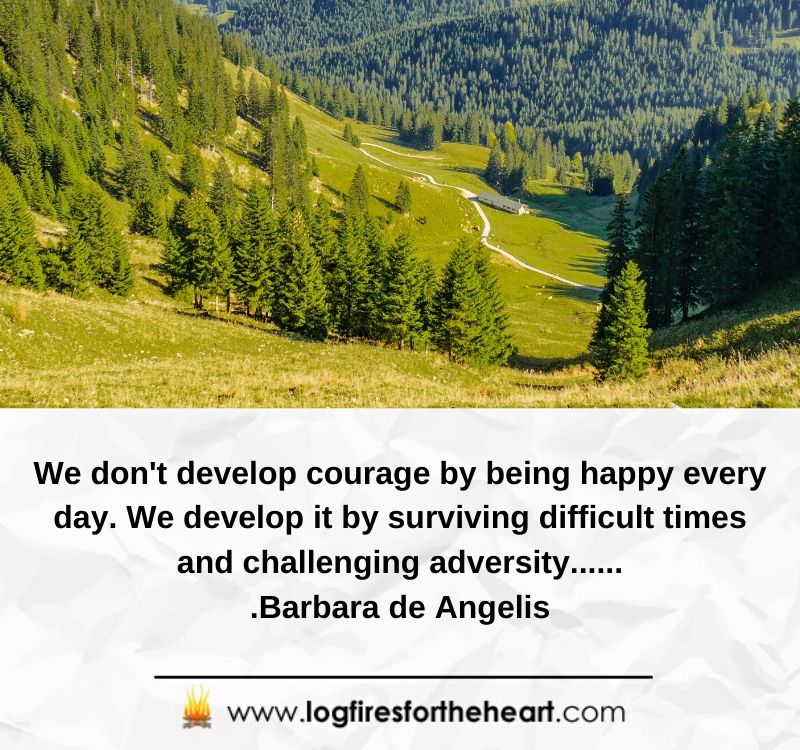 We don't develop courage by being happy every day. We develop it by surviving difficult times and challenging adversity.......Barbara de Angelis