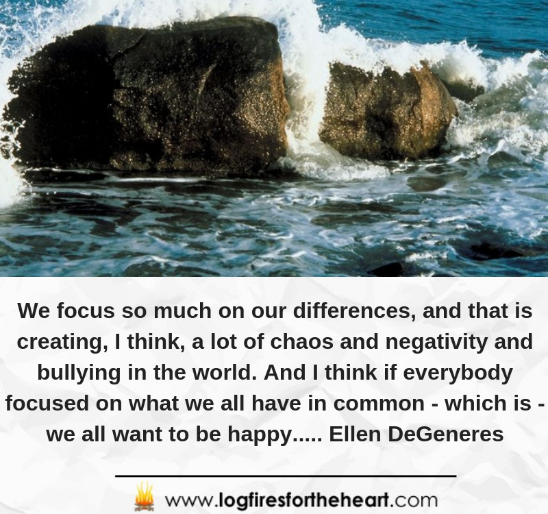 We focus so much on our differences, and that is creating, I think, a lot of chaos and negativity and bullying in the world. And I think if everybody focused on what we all have in common, which is, we all want to be happy........Ellen DeGeneres