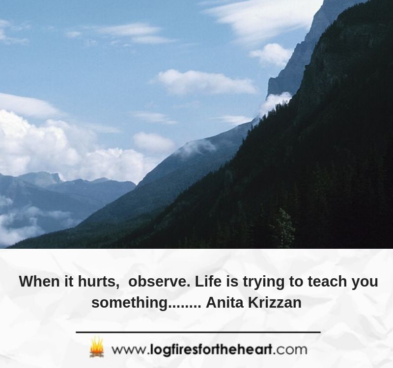 When it hurts, observe. Life is trying to teach you something........ Anita Krizzan