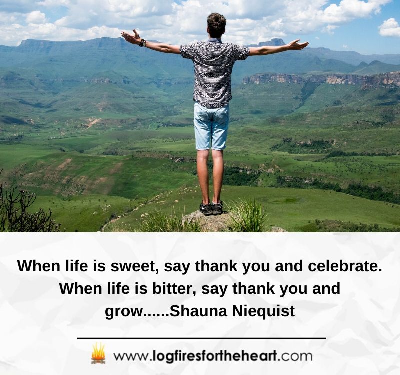 When life is sweet, say thank you and celebrate. When life is bitter, say thank you and grow......Shauna Niequist