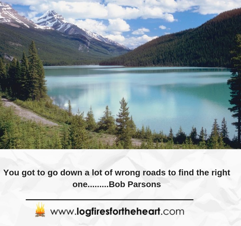 You got to go down a lot of wrong roads to find the right one.........Bob Parsons