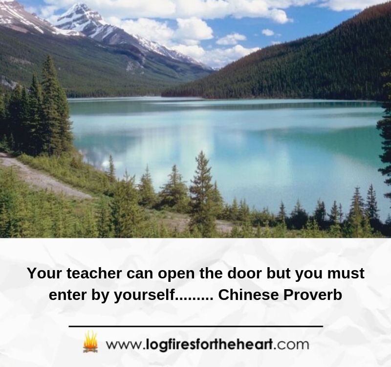  Your teacher can open the door but you must enter by yourself......... Chinese Proverb
