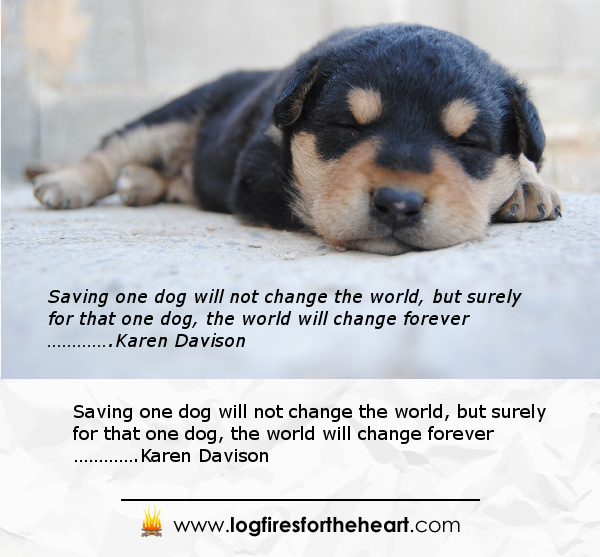 Inspirational Dog Rescue quote